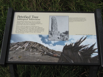 Petrified Tree Sign